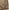 Uniqlo U Undercover Biege Baggy Womans Pants photo 8