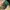 American Flag Vintage Trucker Cap Green Under Visor by Legac photo 2
