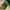 American Flag Vintage Trucker Cap Green Under Visor By Legac