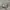 Nike Air Jordan 1 Low Vintage Grey photo 1