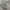 Nike Air Jordan 1 Low Vintage Grey photo 3