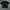 DogTown Streetwear Skater T-shirt Pria black photo 3