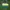 United Colors of Benetton Vintage Bag Pria green yellow photo 1