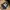 The Eighty-Eight Throwback 88 – Classic Black Snapback photo 1