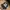 The Eighty-Eight Throwback 88 – Classic Black Snapback
