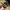 The Eighty-Eight Throwback 88 – Classic Black Snapback photo 6