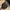 The Eighty-Eight Throwback 88 – Classic Black Snapback photo 3