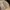 The Bone Trail Cap – Outdoor Cap Co. Adventure Series photo 7