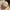 The Bone Trail Cap – Outdoor Cap Co. Adventure Series photo 3