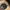 The Bone Trail Cap – Outdoor Cap Co. Adventure Series photo 2