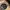 The Bone Trail Cap – Outdoor Cap Co. Adventure Series