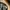 The Bone Trail Cap – Outdoor Cap Co. Adventure Series photo 8
