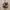 Nike Dunk Low X Chrome Hearts photo 1