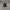Topi New Era 9Forty MLB NY Black on Black Original photo 1