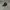 Topi New Era 9Forty MLB NY Black on Black Original photo 2