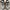 Salomon ACS + CT6 ACS Pro photo 1