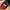 Adidas Originals Snapback - Red & Black Iconic Trefoil Hat photo 2