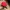 Adidas Originals Snapback - Red & Black Iconic Trefoil Hat photo 8