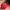 Adidas Originals Snapback - Red & Black Iconic Trefoil Hat photo 6