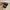 New Balance Casual Loafer Pria brown photo 6