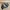 Salomon Casual Sportswear Sneakers Pria Khaki Gray