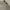 Rok Bonus  photo 2