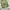 Studio clip wide balloon pants photo 5