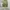 Studio clip wide balloon pants photo 3