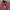 Usedlook Carpenter longpants salmon jeans, Loose Fit photo 5