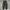 The Shinzone Tokyo JPN Fatigue longpants green, Slim

Straig photo 3
