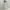 2000’s Heavyweight Heather Grey Double Zip Hoodie photo 5