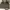 Enthrupy Authentic Bottega Veneta Grey Intrecciato Leather M photo 4