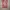Baju cina cheongsam anak perempuan photo 1