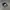 Topi New Era 9Forty MLB New York Yankees Original photo 4