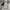 Nike Big Swoosh Jogger Black White Grey Second photo 4