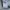 HEATHER GREY BILLABONG SURF BOXY HOODIE - 2000'S photo 6