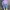 Grooverhyme Streetwear Sweater Pria purple photo 1