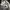 New balanc* 1906r grey & white cream photo 5