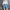 Casual Minimalist Sweater Pria Gray