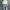MLB Streetwear Sweater Pria multicolor photo 1