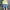 MLB Streetwear Sweater Pria Multicolor