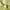 MLB Streetwear Sweater Pria multicolor photo 6