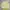 MLB Streetwear Sweater Pria multicolor photo 3