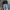 The North Face Streetwear Sportswear Sweater Pria black photo 1