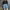 The North Face Streetwear Sportswear Sweater Pria Black