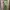 Knitted Bodycon Mini Dress Green Tank photo 1