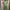 Knitted Bodycon Mini Dress Green Tank