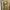 Knitted Bodycon Mini Dress Green Tank photo 4