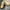 Timberland Casual Boots Pria tan photo 1
