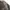 Canterbury Streetwear Varsity jacket Pria black photo 6